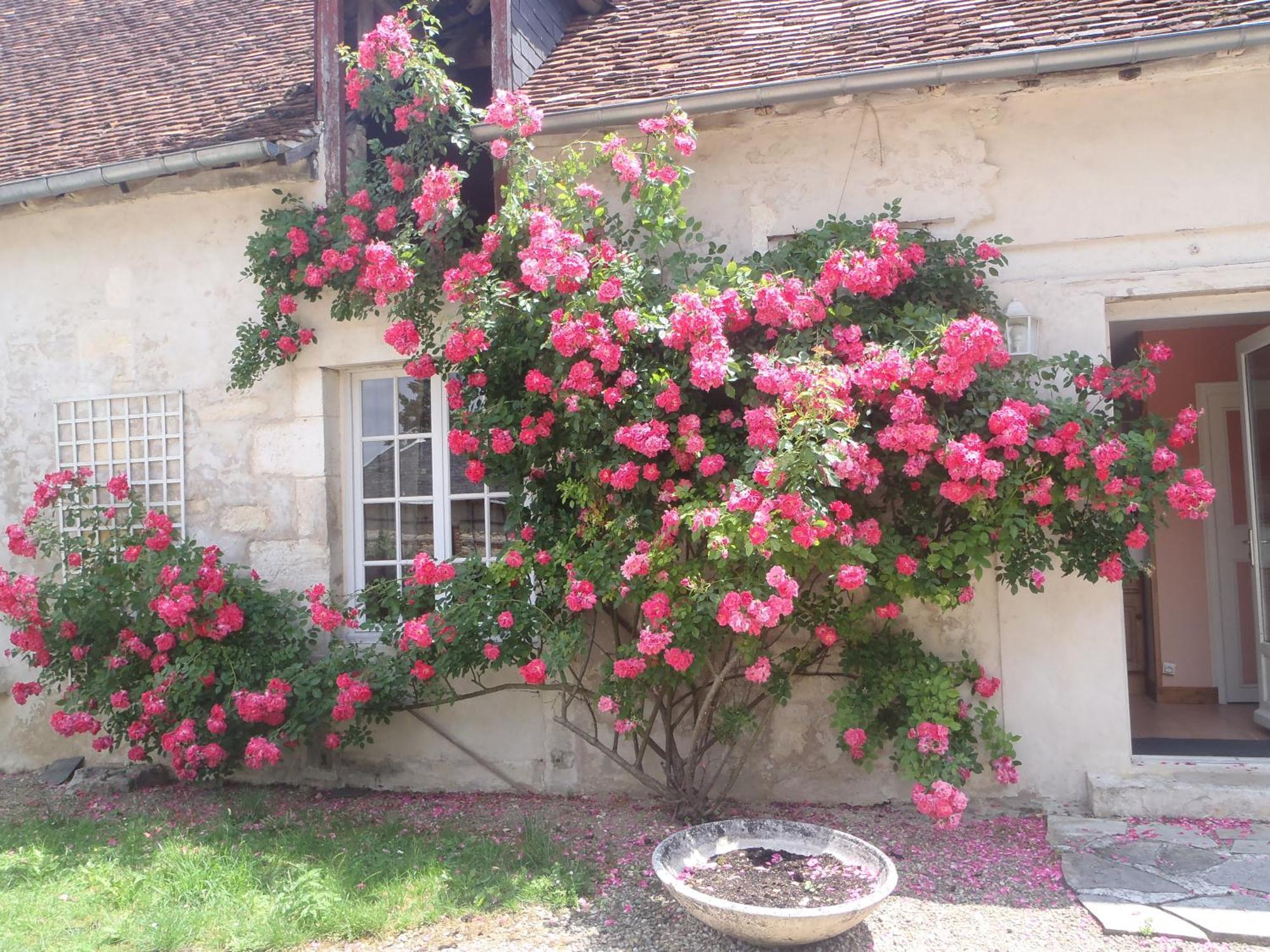 Chambres D'Hotes Du Domaine De Jacquelin Saint-Germain-du-Puy Δωμάτιο φωτογραφία